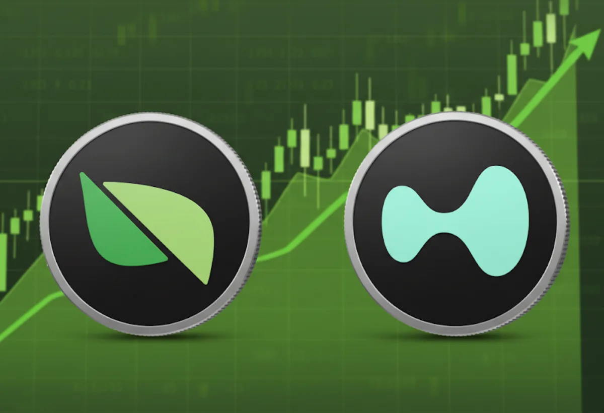 Pear Airdrop